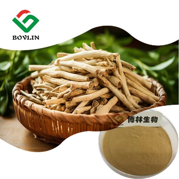 Tongkat Ali Extract Powder Manufacturer - 1% & 2% Eurycomanone, Food Grade in Glass or Drum