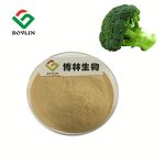 Organic Broccoli Extract Powder Manufacturer - 1% Sulforaphane Content