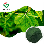 Chlorophyll Powder Manufacturer - Natural Pigment Sodium Copper Chlorophyllin CAS 28302-36-5