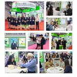 Panax Ginseng Capsules Manufacturer - Private Label & Bulk Extract 60 Capsules