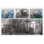 Durian Powder Manufacturer - Freeze-Dried Pure Durian Fruit Powder