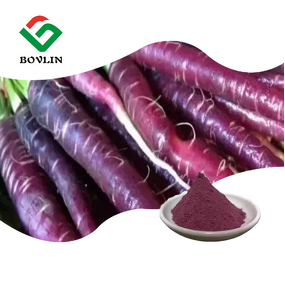 Purple Carrot Powder Manufacturer - Natural Pigment for Food & Beverage