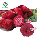 Beetroot Powder Manufacturer - Dried Red Beet Root Extract for Food & Beverage