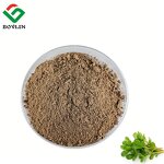 Purslane Extract Powder Manufacturer - 20% Saponins for Juice