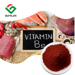 Liposomal Vitamin B12 Powder Manufacturer - 1% B12 Powder for Best Price