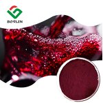 Red Wine Extract Powder Manufacturer - Antioxidant Polyphenols