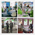 Chlorophyll Liquid Manufacturer - Oil Soluble Green Copper Chlorophyll