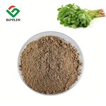 Purslane Extract Powder Manufacturer - 20% Saponins for Juice