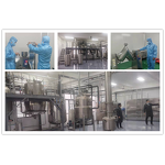 Coenzyme Q10 Powder - Halal Certified Water-Soluble Ubiquinone for Capsules