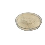 Soybean Peptide Powder Manufacturer - Food Grade, 1kg Bottle or Drum Packaging