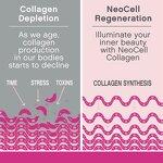 Collagen Tablets Manufacturer - Antioxidant Supplement for Skin & Hair Brightening