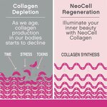 Collagen Supplements Manufacturer - OEM for Skin Whitening & Youthful Face Capsules
