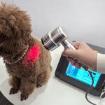 Laser Therapy Machine Manufacturer - 1055mW 650nm & 808nm Class II LLLT for Pain Management