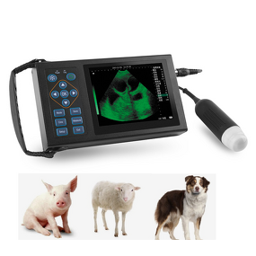 Portable Veterinary Ultrasound Scanner Manufacturer - For Dogs, Cats, Sheep, Pigs, Cows, and Horses