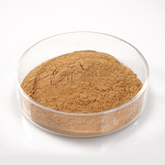 Green Tea Extract EGCG Powder Manufacturer - 98% 99% 50% Epigallocatechin Gallate for Health
