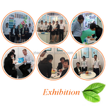 Hawthorn Fruit Extract Vitexin Rhamnoside Manufacturer - Vitexin-2-rhamnoside CAS 64820-99-1 2-10%