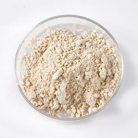 Peanut Butter Protein Powder Manufacturer - Plant-Based Vegan Powder in 25kg Bulk