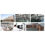 Acetyl Octapeptide-3 Powder Manufacturer - Anti-Wrinkle Peptide CAS 868844-74-0