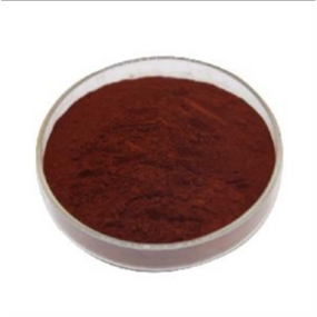 Canthaxanthin Powder Manufacturer - Food Grade Plant Extract Colorant 10%