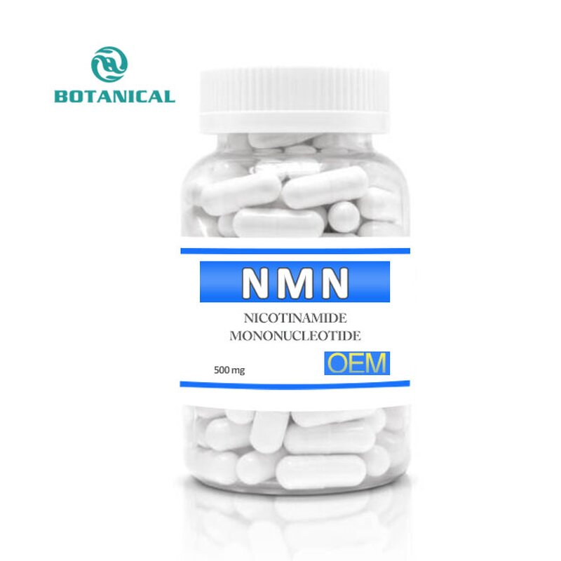 NMN Supplements Manufacturer - Anti-Aging Nicotinamide Mononucleotide 99% Powder Capsules