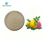 Rosa Roxburghii Tratt Extract Manufacturer - Natural Prickly Rose Fruit VC 7%-10%