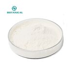 Elastin Powder Manufacturer - Hydrolyzed 99% Bonito Fish Extract