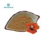 Reishi Extract Powder Manufacturer - 30% Polysaccharides, Private Label Capsules & Coffee
