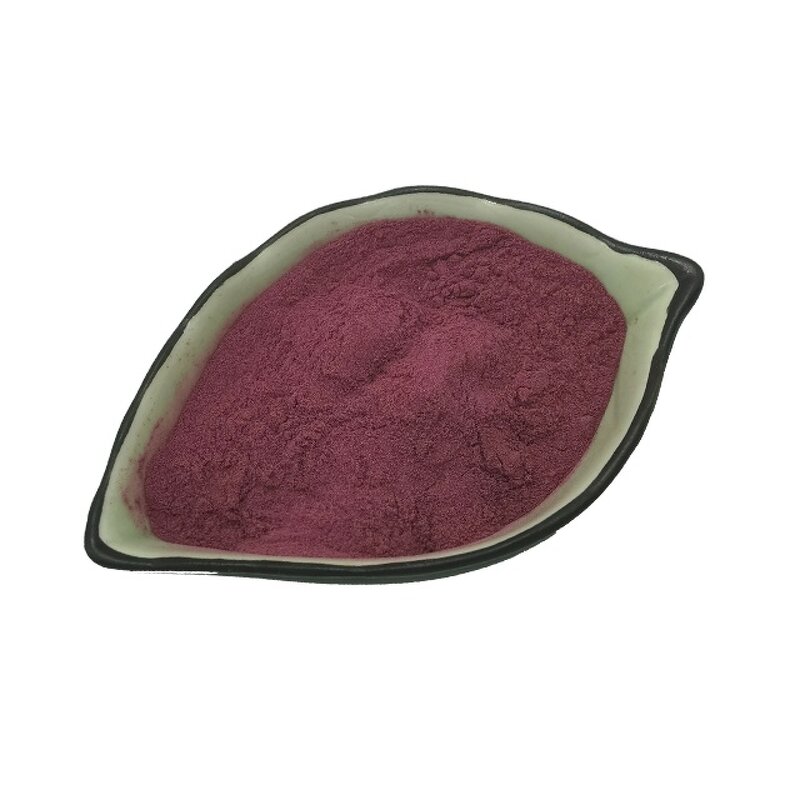 Kale Extract Powder Manufacturer - Natural Anthocyanidins 25% Red Cabbage Extract