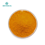 Beta-Carotene Powder Manufacturer - Food Grade Natural Carrot Extract for Skin Care