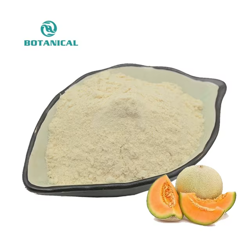 Organic Cantaloupe Powder Manufacturer - Hamimelon Extract Fruit Powder