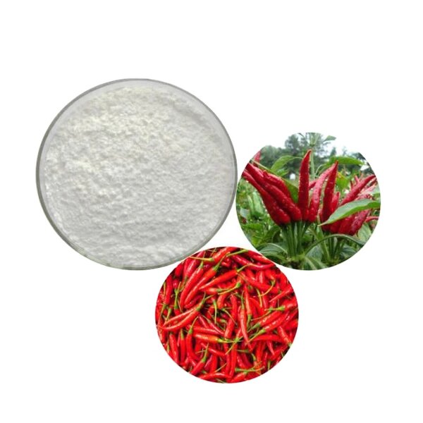 Chili Powder Manufacturer - 95% Capsicum Annuum Extract Capsaicin Powder