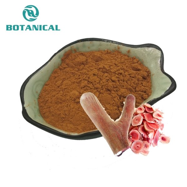 Velvet Antler Extract Manufacturer - Top Grade Powder & Slices for Supplements