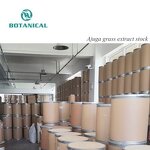 Private Label Ajuga Turkestanica Extract - HPLC 2% Turkesterone Powder