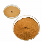 Eurycoma Longifolia Extract Manufacturer - 100:1 & 200:1 Ratio Tongkat Ali Powder
Eurycoma Longifolia Extract Factory - Tongkat Ali Root Powder with Eurycomanone