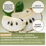 Soursop Graviola Sugar-Free Gummies Antioxidant Superfruit Supplement for Adults Oral Liquid Dosage Not for Pregnant Women