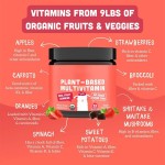Plant-Based Strawberry Gummy Multivitamins for Kids and Teenagers Immunity System Bear Gummies for Newborns