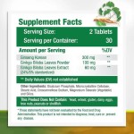 Biocaro Energy Boost Capsules - Korean Red Panax Ginseng with Ashwagandha, Beet Root & Ginkgo Biloba for Men