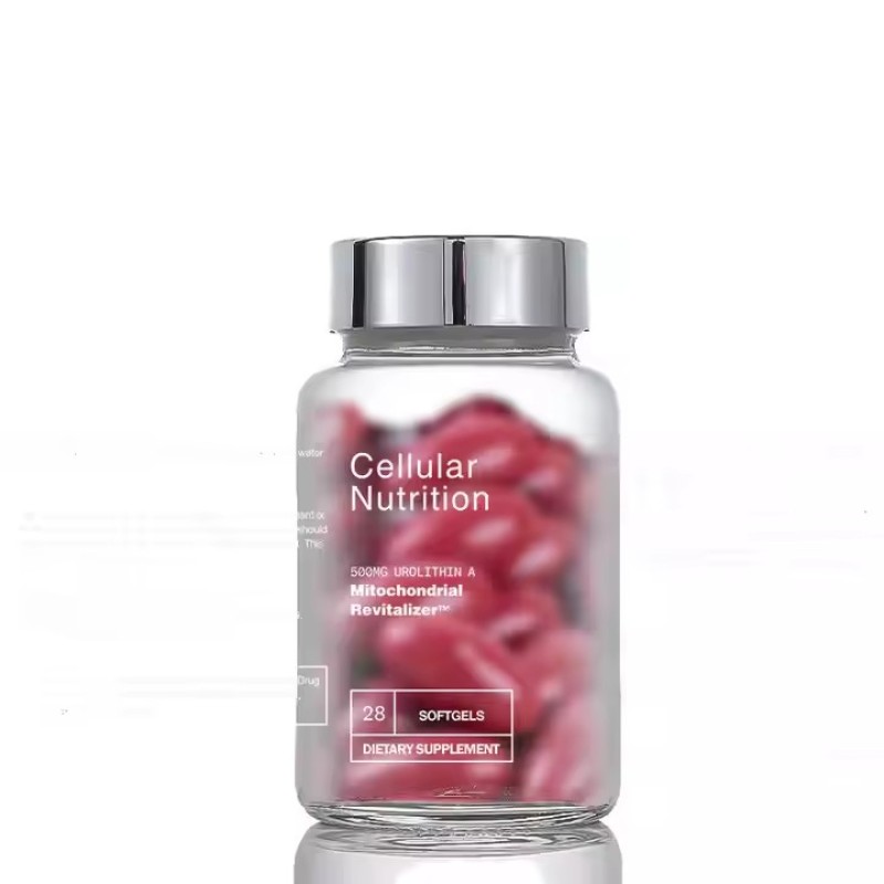 High Quality Urolithin a Capsules  Comprehensive Antioxidant Support Boost Cellular Health Enhance Wellness