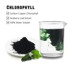 Wholesale Price Chlorophyll Drops Private Label Liquid Chlorophyll Drops Splina Liquid Chlorophyll