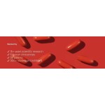 High Quality Urolithin a Capsules  Comprehensive Antioxidant Support Boost Cellular Health Enhance Wellness