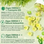 OLLI OEM Algae Gummies - 2000mg Omega 3 Alternative with EPA & DHA