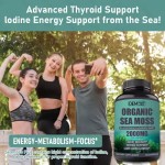 Natural Organic Wild Crafted Sea Moss Capsules Sea Moss Raw Private Label Pills Healthcare Supplement