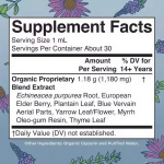 Lymphatic Support Drops Echinacea Elderberry Blue Vervain Vegan Herbal Extract Immune  Cleanse Drops
