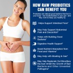 Probiotic Supplement Probiotic Digestive Enzyme Complex Soft Capsules Promote Digestive Health Gastrointestinal Health