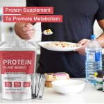 OEM Vegan Organic Protein Powder 100g  Wholesale Supplement for Weight Gain