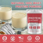OEM Vegan Organic Protein Powder 100g  Wholesale Supplement for Weight Gain