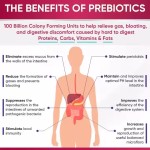 Private Label Women Vaginal Probiotic Gummies  34 Strains, 100B CFUs + Prebiotics for Intimate Wellness & pH Balance