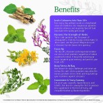 Calm Support Gummies with L-Theanine and Ashwagandha for Stress Relief and Mood Balance Vegan Supplement