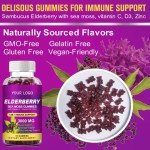 OEM Elderberry Gummies With Vitamin Zinc Boost Immune & Energy Support Supplements Promote Joint and Digestion System Support