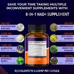 Resveratrol NAD Supplement Capsules - 2500mg OEM Private Label | 250mg NAD Vitamin Formula